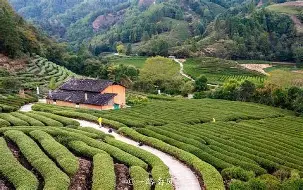 最新：莱万多夫斯基进球数超C罗巅峰的简单介绍|开元棋牌官方下载